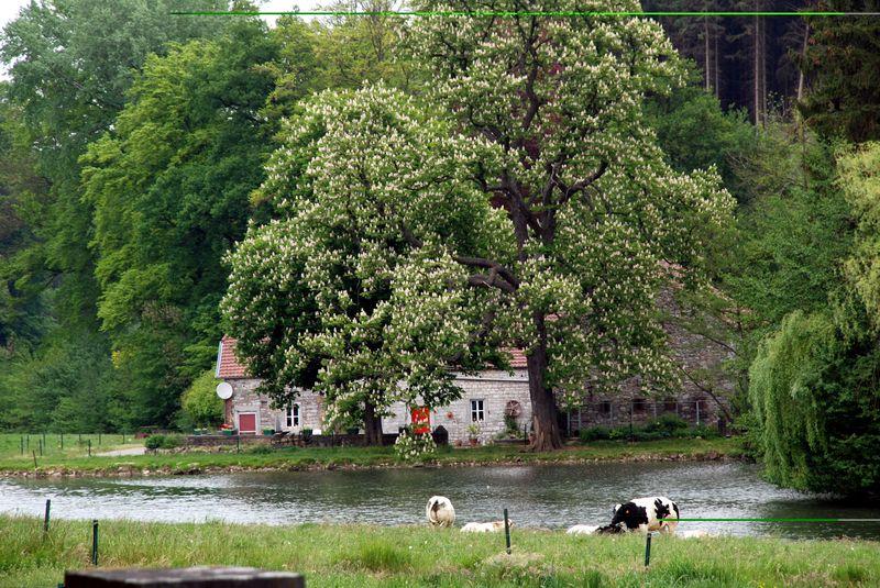 L'ancien moulin à eau