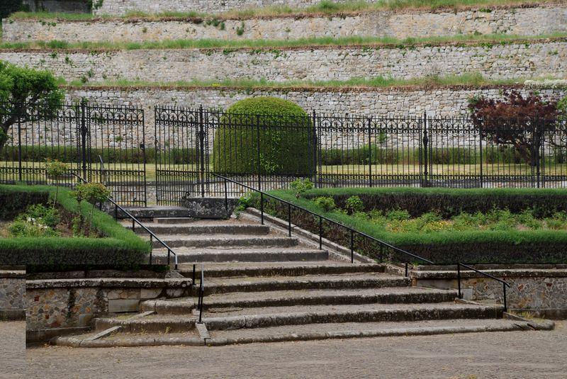 Les anciennes vignes