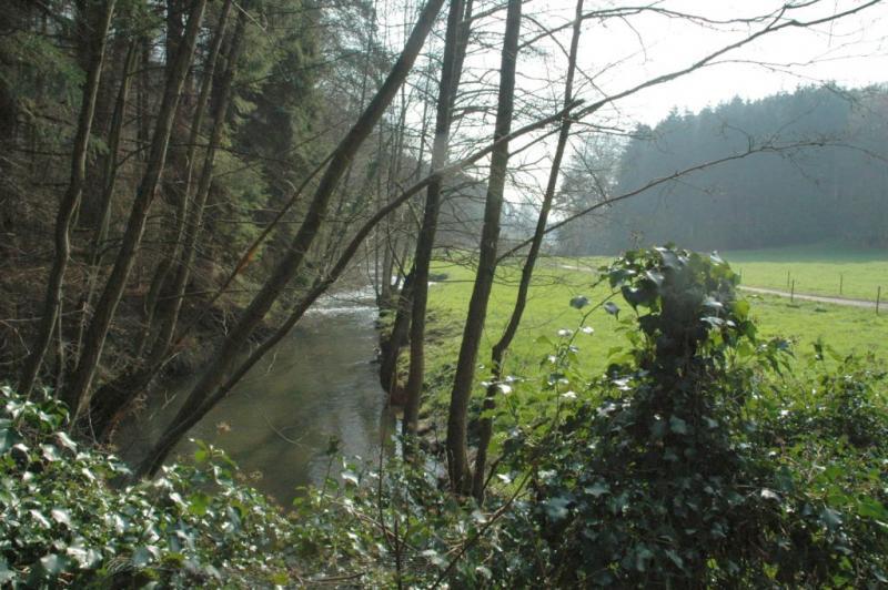 Le parc traversé par une rrivière et ses bois